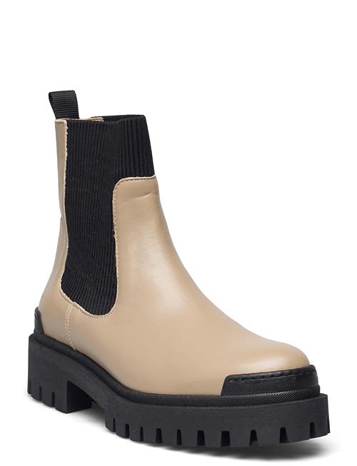 ANGULUS | Booties - Flat - With Elastic | 41