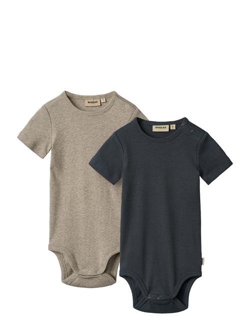 Wheat | 2 Rib Body S/S Timo | 62