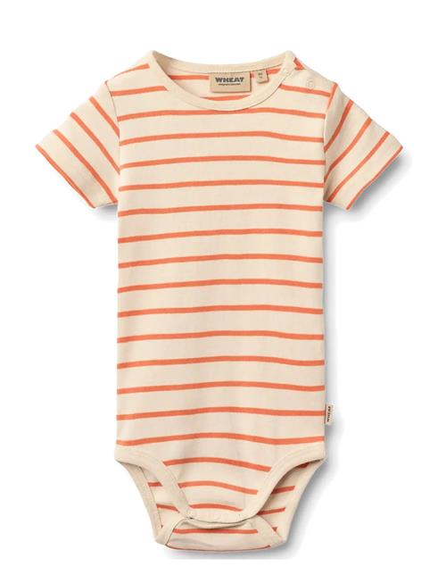 Wheat | Body S/S Edvald | 92