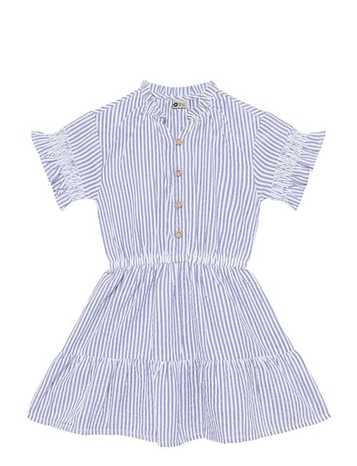 Daily 7 | Dress Stripe Ruffle | 104