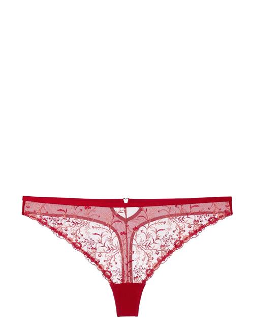 Dorina | Erin Thong | S