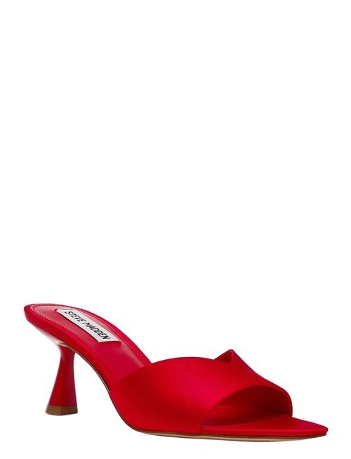 Steve Madden | Ivie | 37