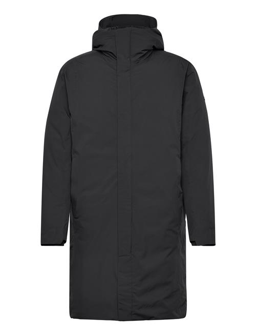 Scandinavian Edition | Vertex | L