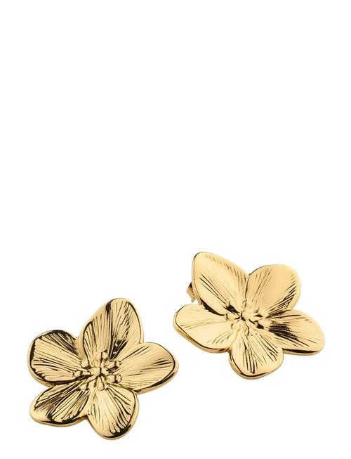 Timi of Sweden | Maebry - Statement Flower Stud Earrings Gold Stain - Gold | ONE SIZE