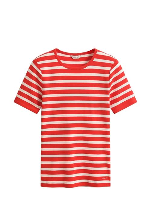 GANT | Striped Ribbed Ss T-Shirt | XXL