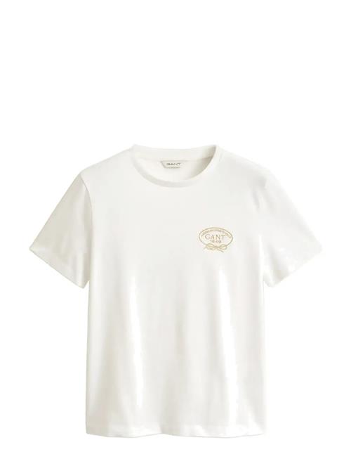 GANT | Rope Graphic Ss T-Shirt | XXL