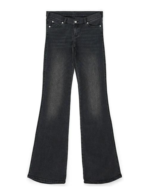 Dr Denim | Kily Low Bootcut | M x 34