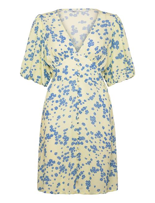 Noella | N-Lilliana Dress | XL