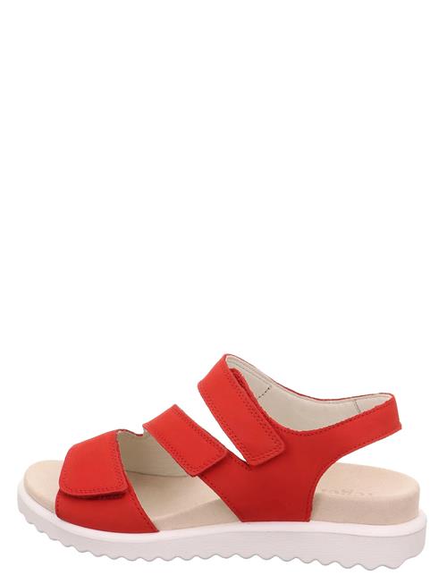 Legero | Move | 36