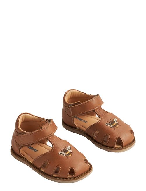 Wheat | Sandal Lowe | 22