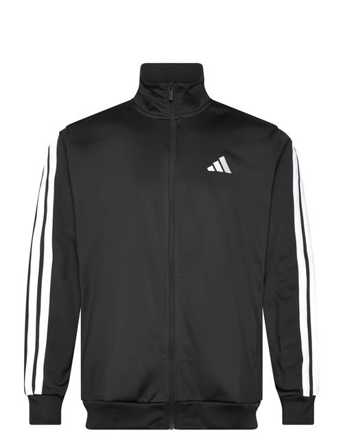 adidas Sportswear | M 3S Tr Tt | M