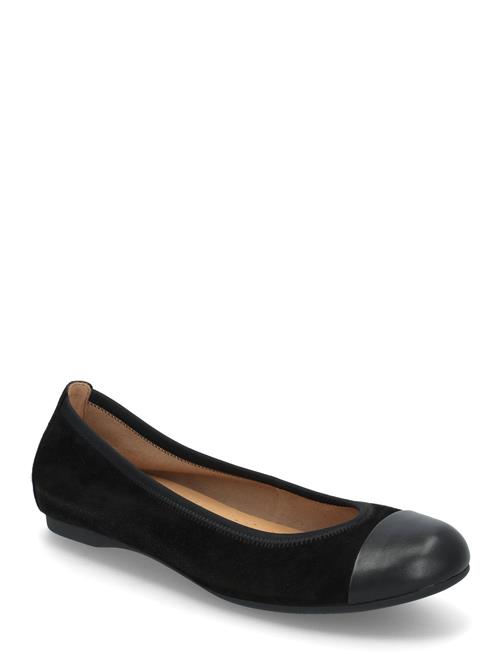 Gabor | Ballerina | 38.5