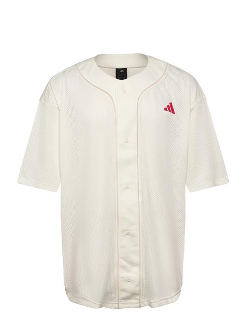 adidas Sportswear | M Sta Seas Shrt | XL