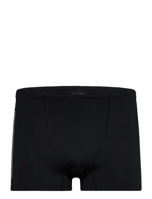 adidas Performance | Ripstr Bx | M