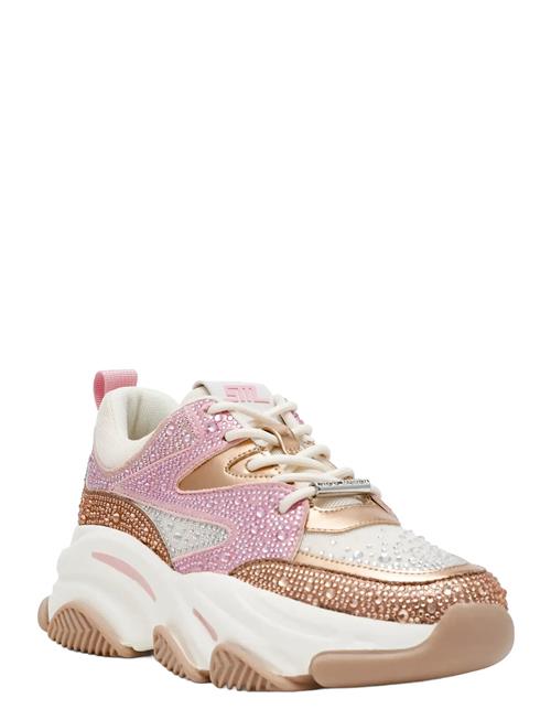Steve Madden | Privy | 41