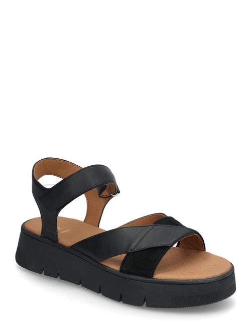 GEOX | D Dandra 40 B | 39