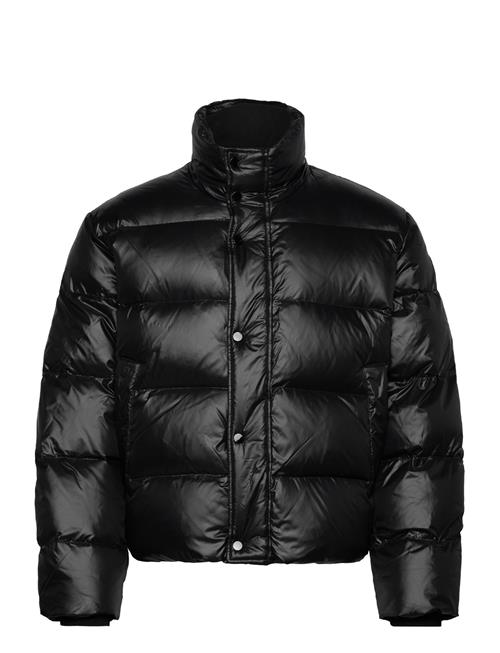 Abercrombie & Fitch | Anf Mens Outerwear | XL