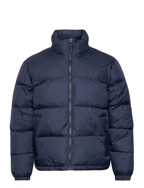 Hollister | Hco. Guys Outerwear | L