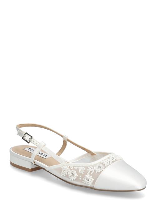 Steve Madden | Belinda-Mf Slingbacks | 39
