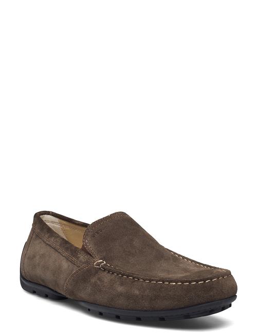 GEOX | U Moner V | 44
