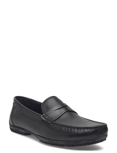 GEOX | U Moner W 2Fit D | 42