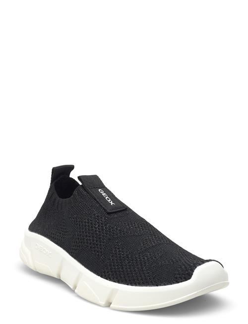 GEOX | J Aril Girl E | 33