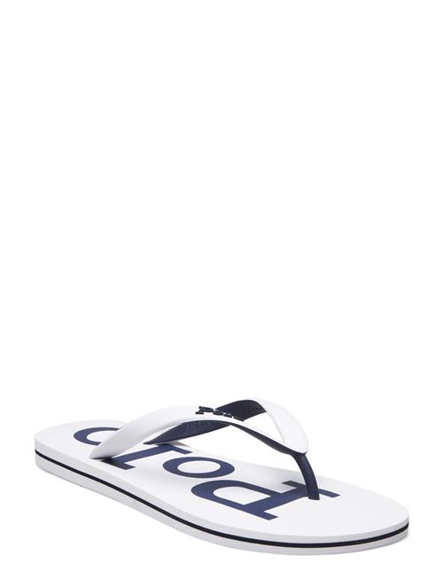 Polo Ralph Lauren | Bolt Logo Flip-Flop | 41