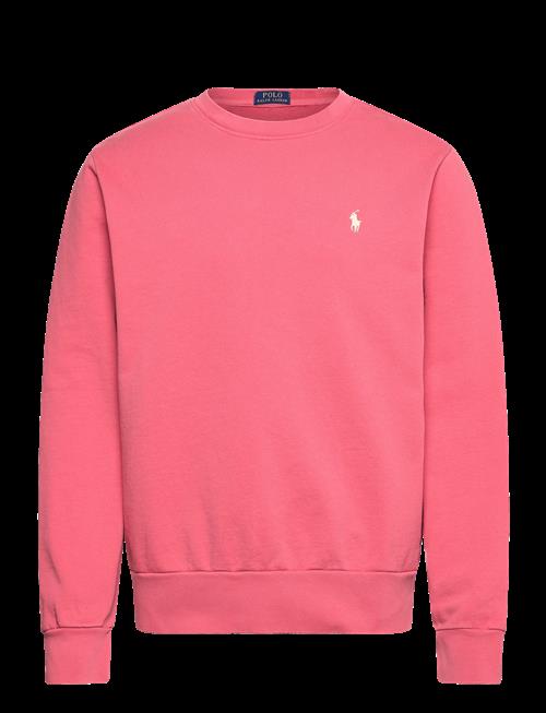 Se Polo Ralph Lauren | Loopback Terry-Lsl-Sws | M hos Booztlet