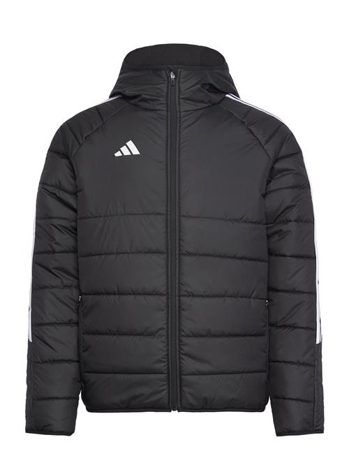 adidas Performance | Tiro24 Wint Jkt | M