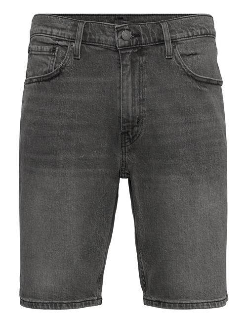 Levi's® | 445 Athletic Shorts Down To My | 30