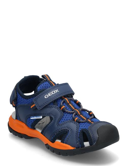 GEOX | J Borealis Boy C | 31