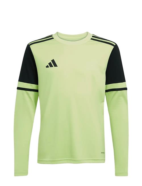 adidas Performance | Squa25 Gk Jsyly | 164