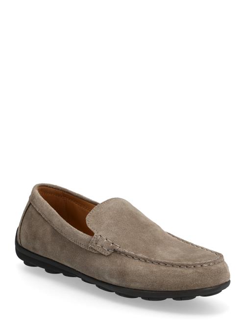 GEOX | U Spherica Ec16 A | 41