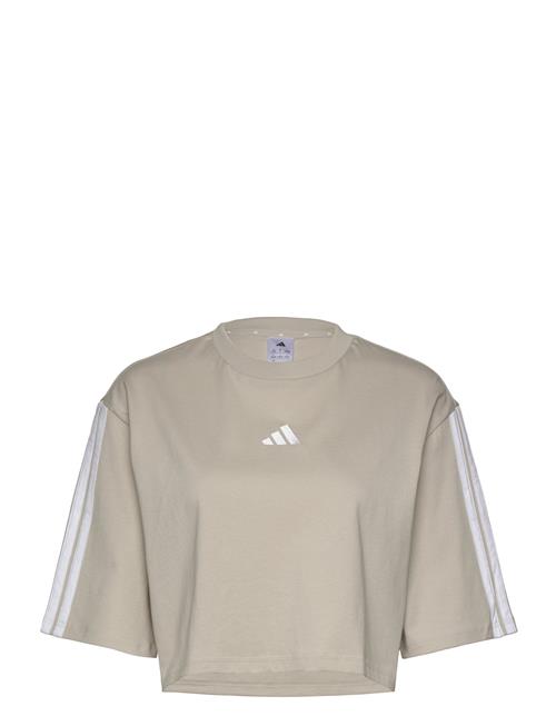 adidas Sportswear | W 3S Sj Tlr T | M