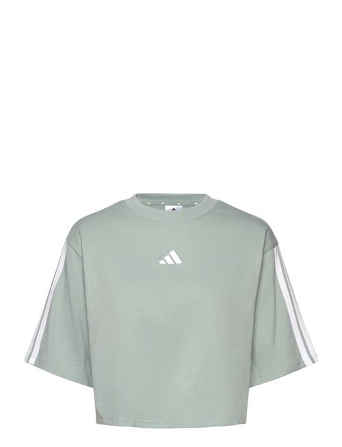 adidas Sportswear | W 3S Sj Tlr T | L