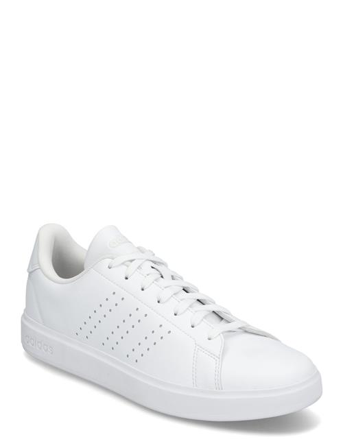 adidas Sportswear | Advantage 2.0 | 38