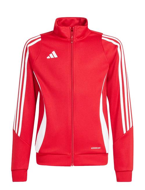 adidas Performance | Tiro24 Trjkty | 176