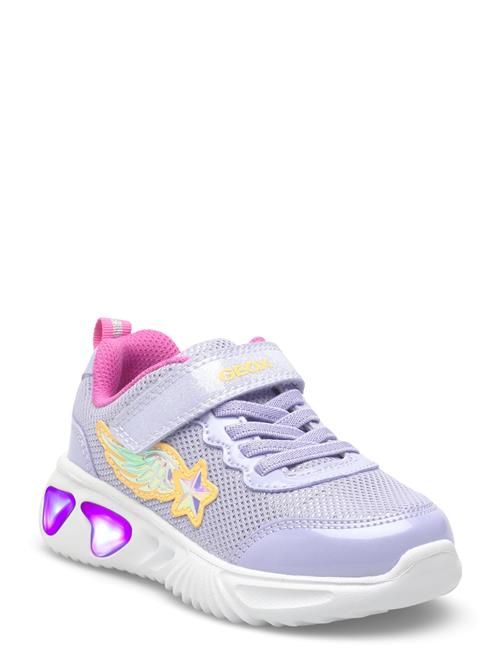 GEOX | J Assister Girl B | 32