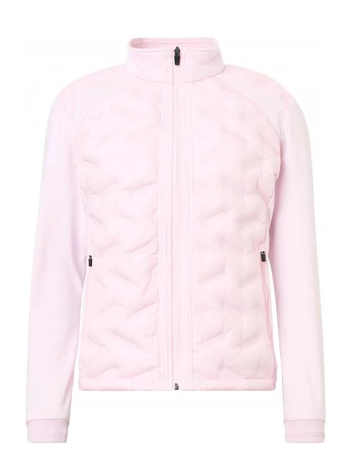 Abacus | Lds Portrush Hybrid Jacket | XXL