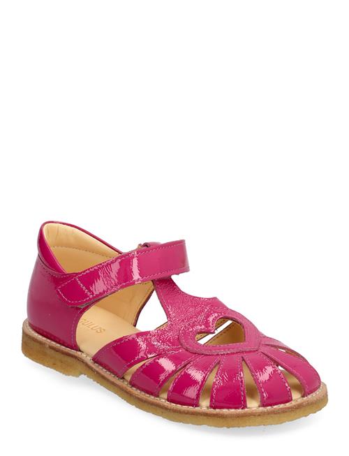 ANGULUS | Sandals - Flat  - Closed Toe | 31