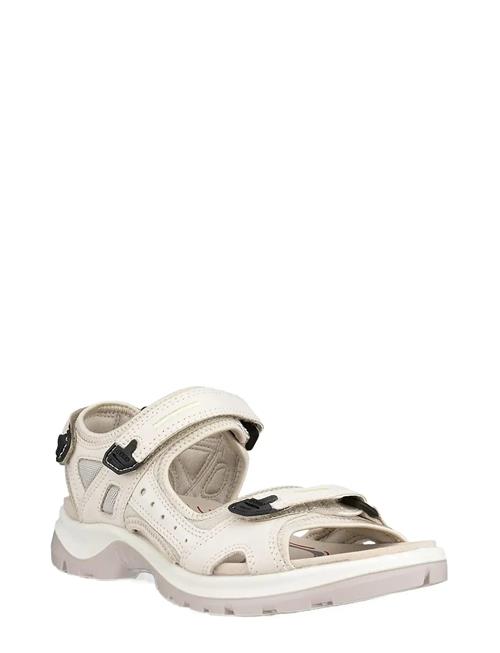 ECCO | Offroad | 41