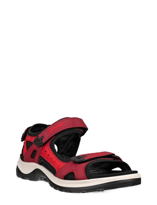Se ECCO | Offroad | 41 hos Booztlet