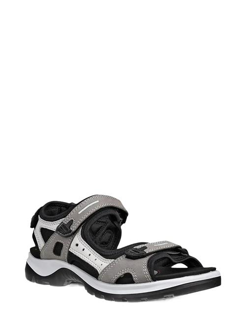 ECCO | Offroad | 35