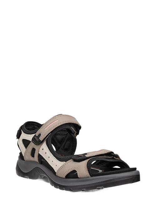 ECCO | Offroad | 41