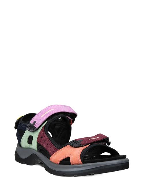 ECCO | Offroad | 35