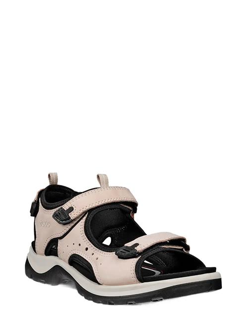 ECCO | Offroad | 41