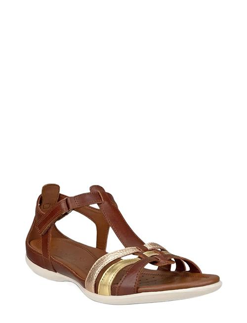 ECCO | Flash | 38