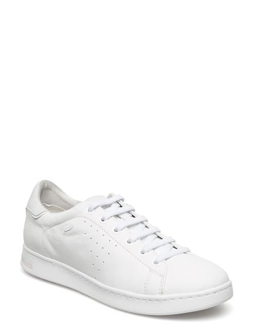 GEOX | D Jaysen A | 36