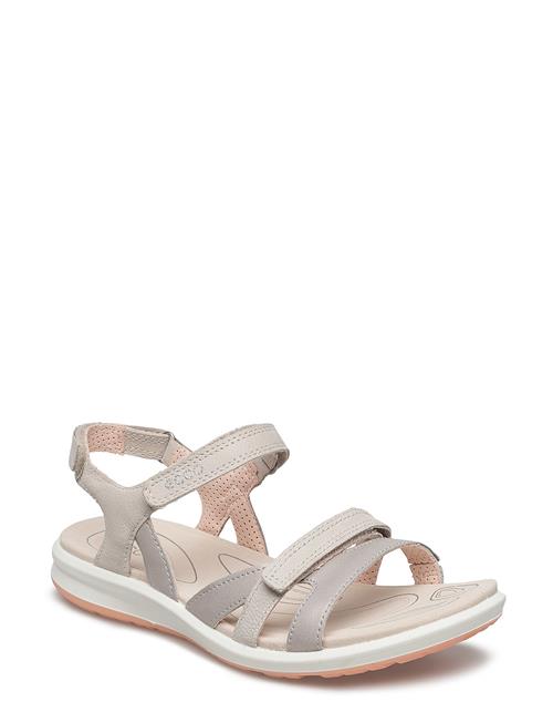 ECCO | Cruise Ii | 36