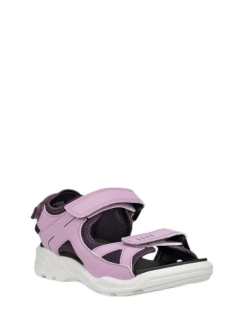 ECCO | Biom Raft | 36